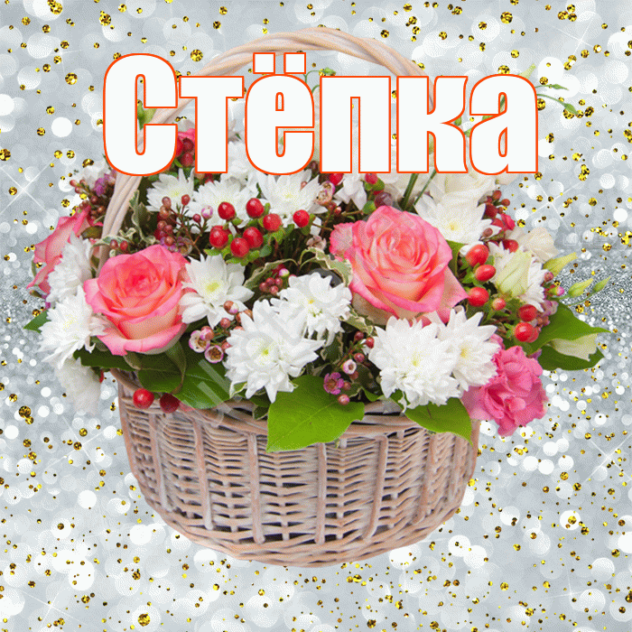 Стёпка! С прошедшим днем рождения! Красивая открытка !
