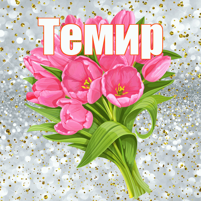 Темир! С прошедшим днем рождения! Красивая открытка Темиру!