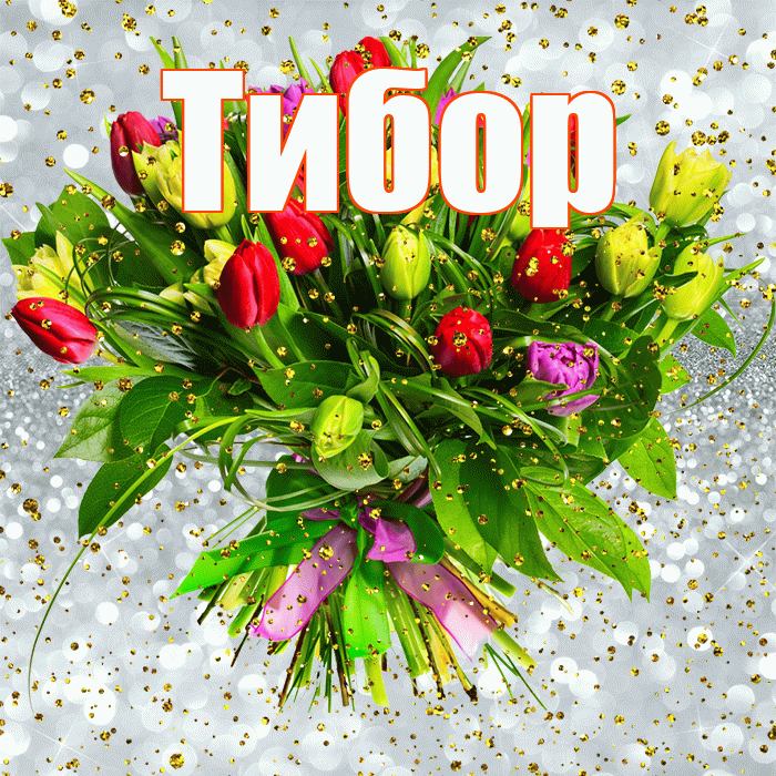 Тибор! С прошедшим днем рождения! Красивая открытка Тибору!