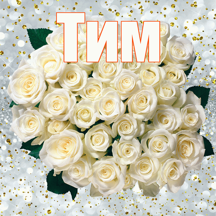Тим! С прошедшим днем рождения! Красивая открытка !