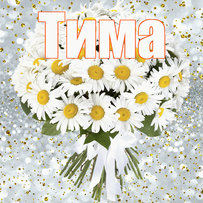 Тима! С прошедшим днем рождения! Красивая открытка Тиму!