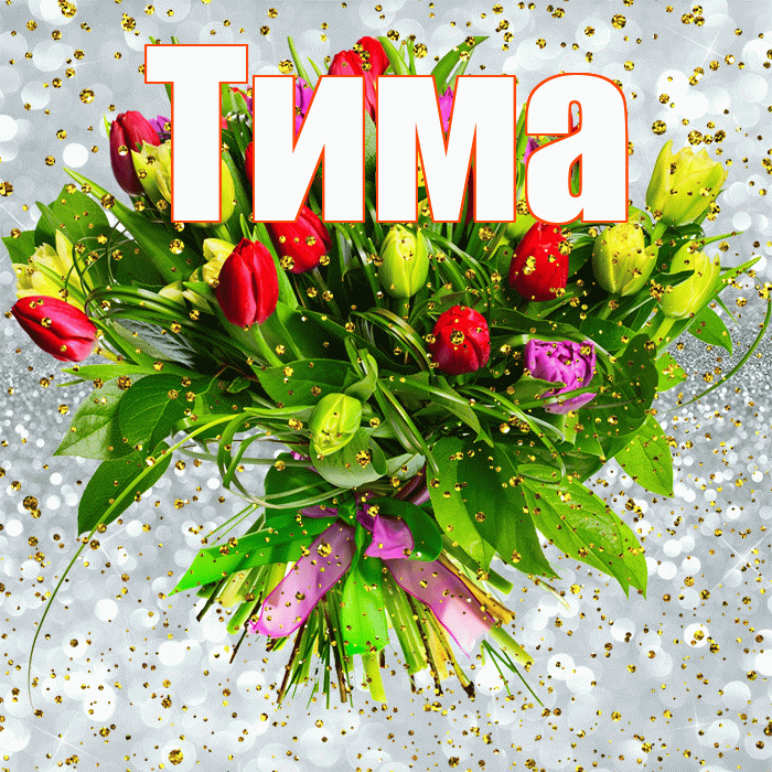 Тима! С прошедшим днем рождения! Красивая открытка Тиму!
