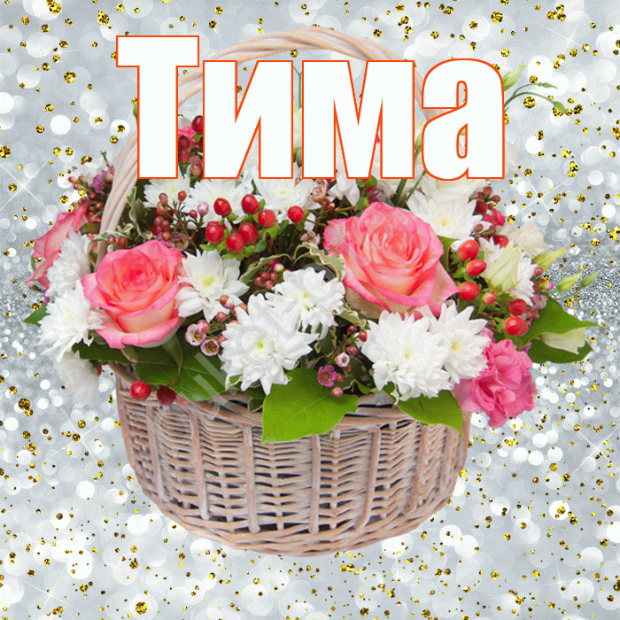 Тима! С прошедшим днем рождения! Красивая открытка Тиму!