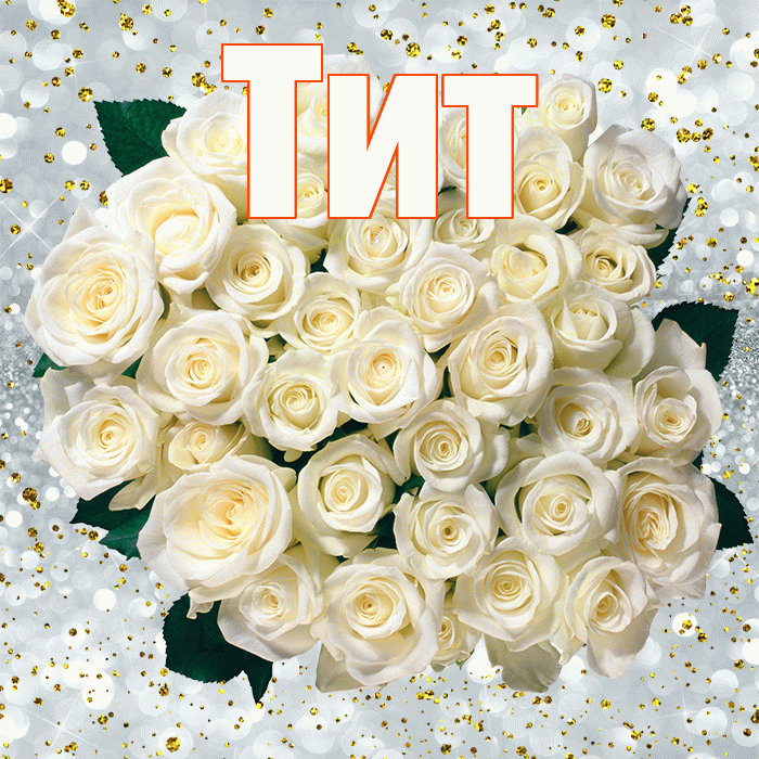 Тит! С прошедшим днем рождения! Красивая открытка Титу!