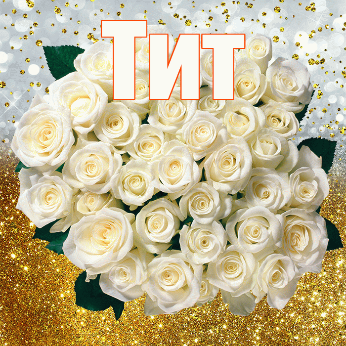 Тит! С прошедшим днем рождения! Красивая открытка Титу!