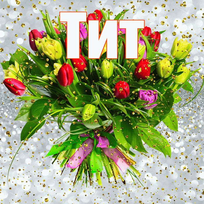 Тит! С прошедшим днем рождения! Красивая открытка Титу!