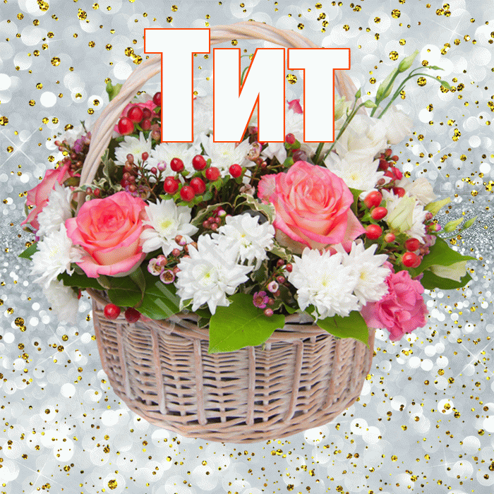 Тит! С прошедшим днем рождения! Красивая открытка Титу!