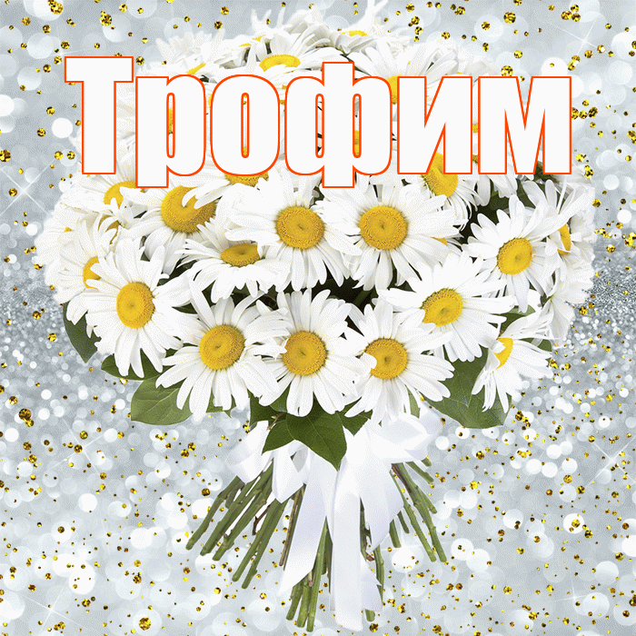 Трофим! С прошедшим днем рождения! Красивая открытка Трофиму!