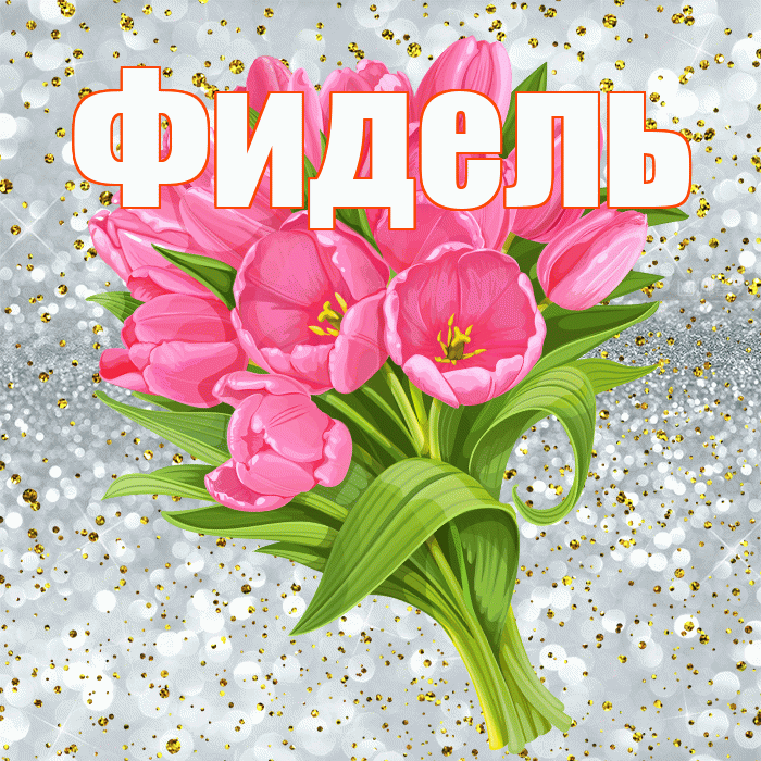 Фидель! С прошедшим днем рождения! Красивая открытка Фиделю!