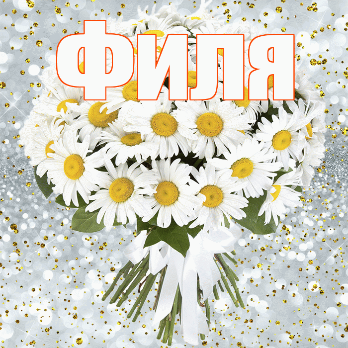 Филя! С прошедшим днем рождения! Красивая открытка Филе!