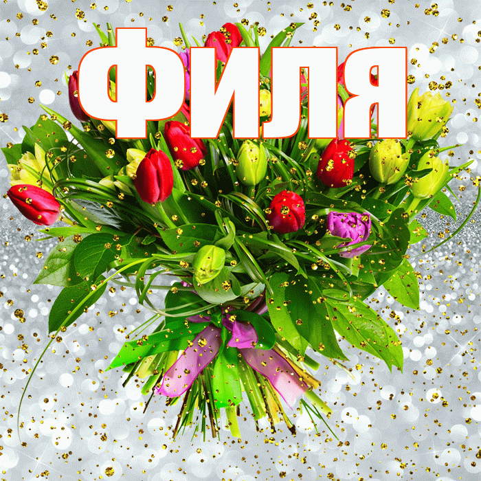 Филя! С прошедшим днем рождения! Красивая открытка Филе!