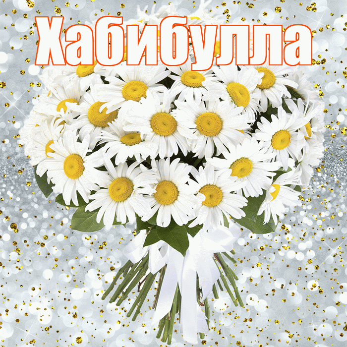 Хабибулла! С прошедшим днем рождения! Красивая открытка Хабибулле!
