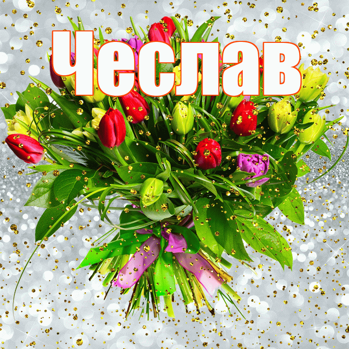 Чеслав! С прошедшим днем рождения! Красивая открытка Чеславу!