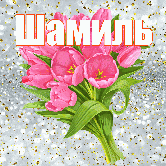 Шамиль! С прошедшим днем рождения! Красивая открытка Шамилю!
