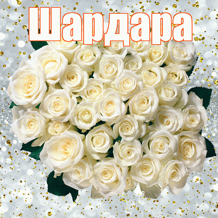 Шардара! С прошедшим днем рождения! Красивая открытка Шардаре!