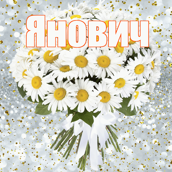 Янович! С прошедшим днем рождения! Красивая открытка Яновичу!