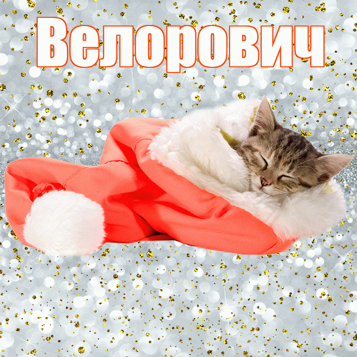 Велорович! Сладких снов! Красивая открытка Велоровичу!