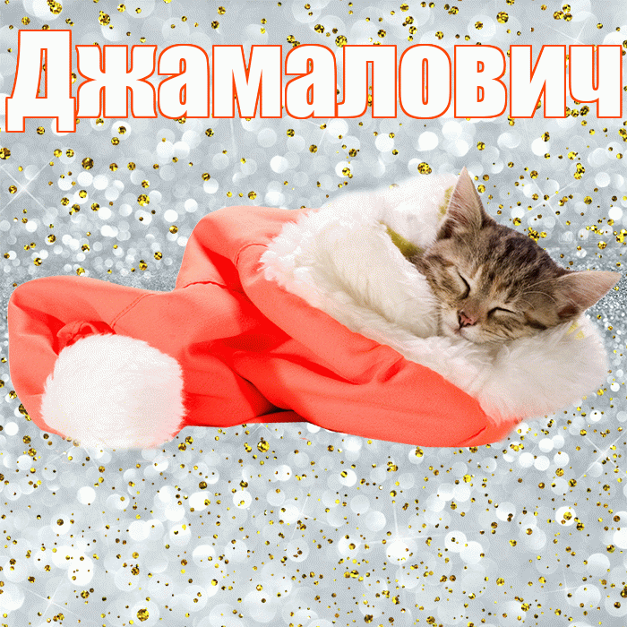 Джамалович! Сладких снов! Красивая открытка Джамаловичу!