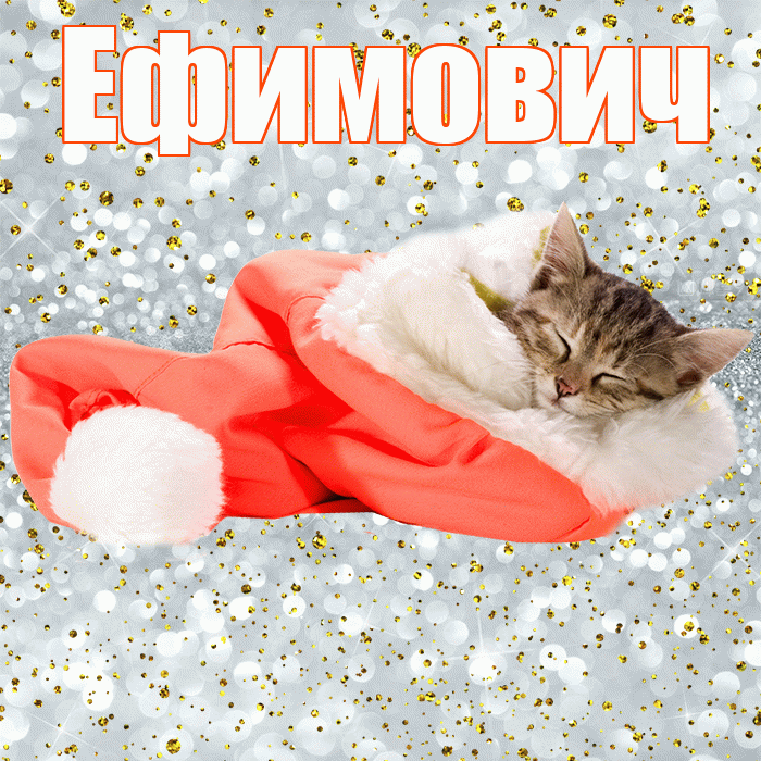 Ефимович! Сладких снов! Красивая открытка Ефимовичу!