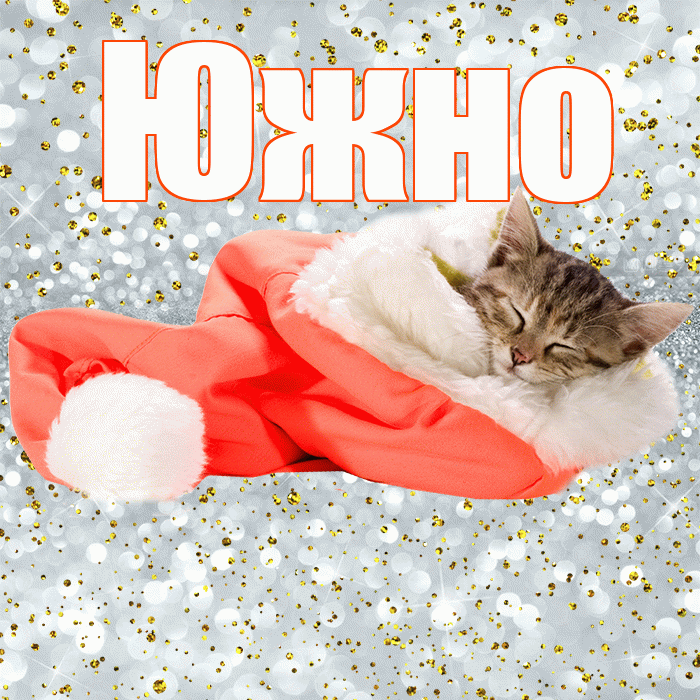 Южно! Сладких снов! Красивая открытка Южно!