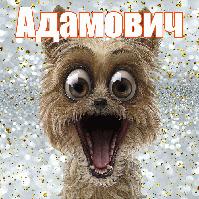 Адамович! Спасибо! Красивая открытка Адамовичу!