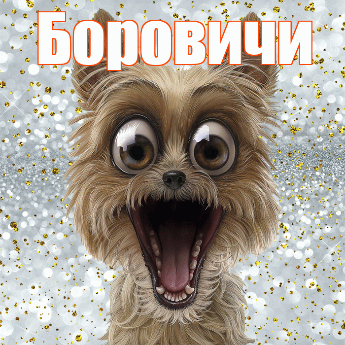 Боровичи! Спасибо! Красивая открытка Боровичи!