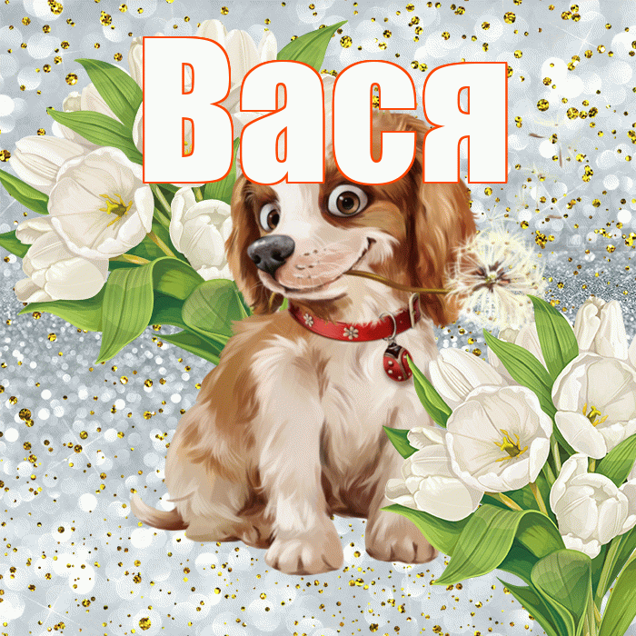 Вася! Спасибо! Красивая открытка Васе!