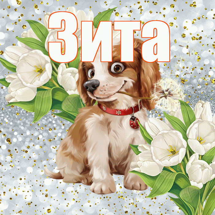 Зита! Спасибо! Красивая открытка Зите!
