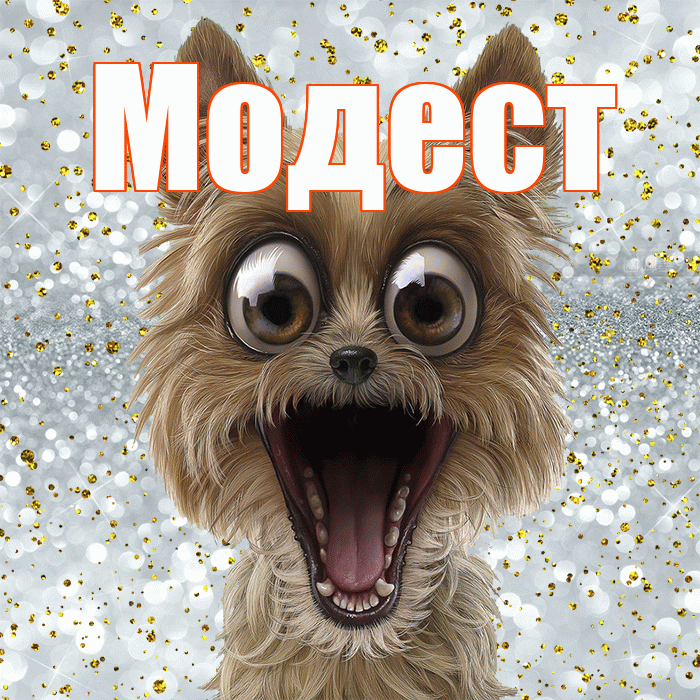 Модест! Спасибо! Красивая открытка Модесту!