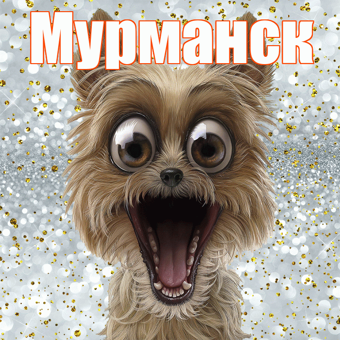 Мурманск! Спасибо! Красивая открытка Мурманску!