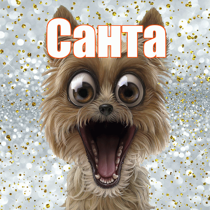 Санта! Спасибо! Красивая открытка Санту!