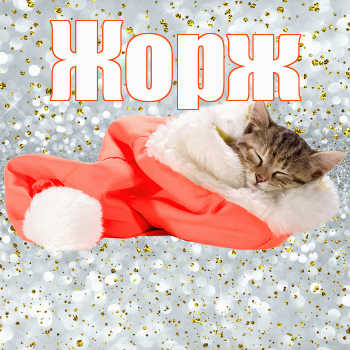 Жорж! Спокойной ночи! Красивая открытка Жоржу!