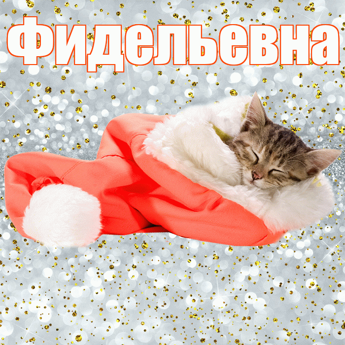 Фидельевна! Спокойной ночи! Красивая открытка Фидельевне!