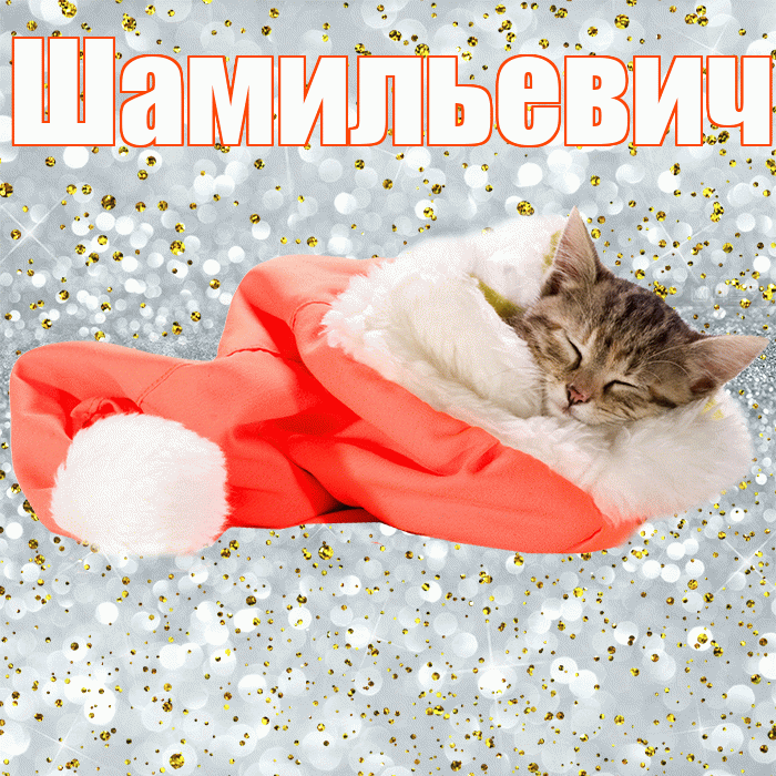 Шамильевич! Спокойной ночи! Красивая открытка Шамильевичу!