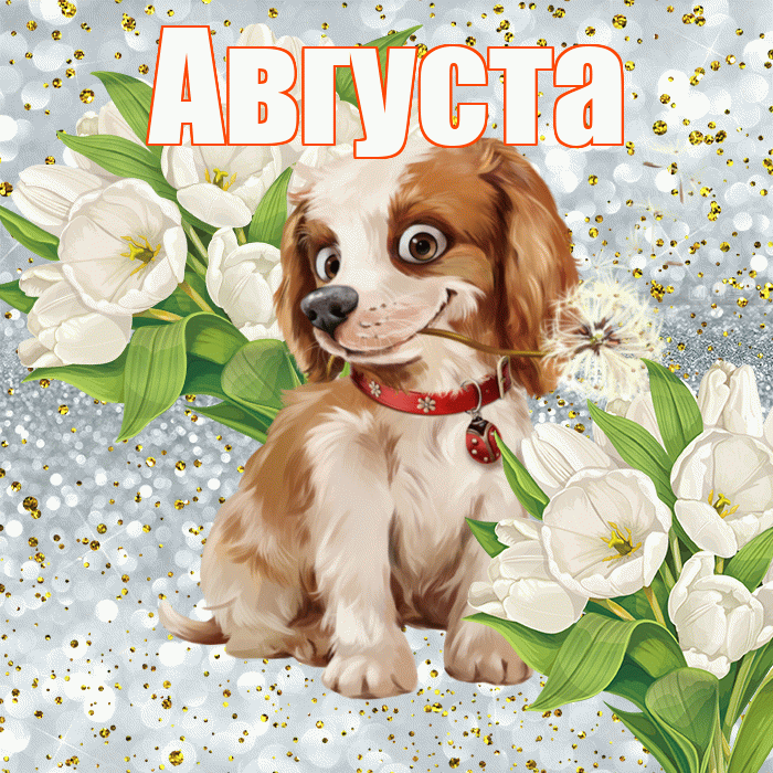 Августа! Удачи Тебе! Красивая открытка Августе!