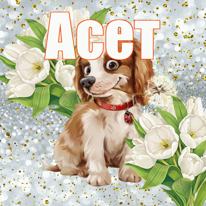 Асет! Удачи Тебе! Красивая открытка Асету!