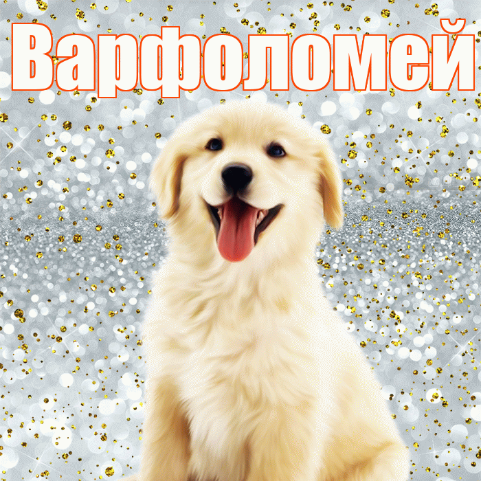 Варфоломей! Удачи Тебе! Красивая открытка Варфоломею!