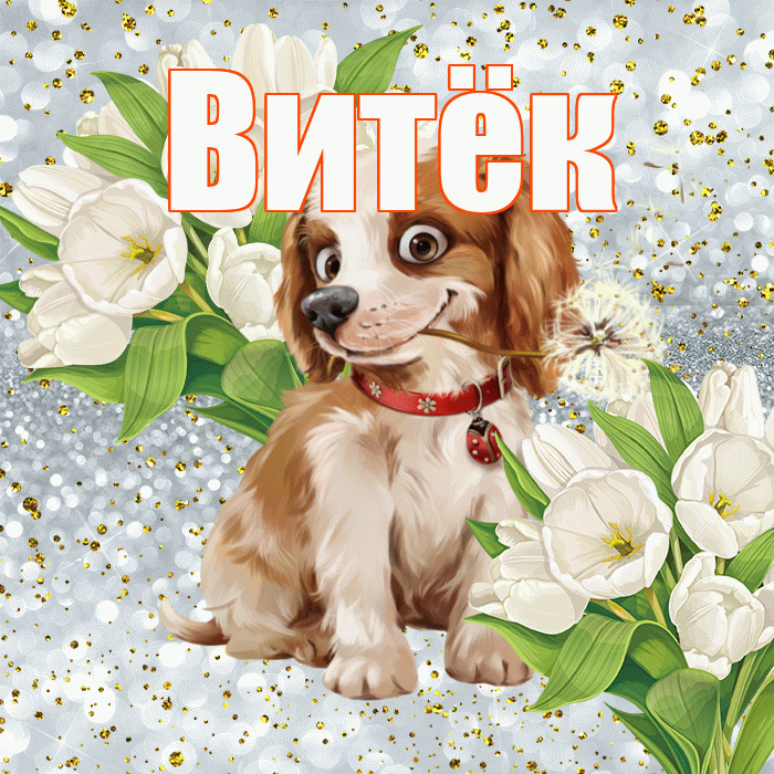 Витёк! Удачи Тебе! Красивая открытка !