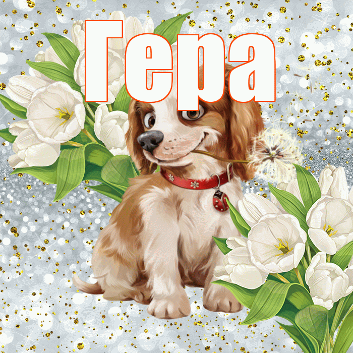 Гера! Удачи Тебе! Красивая открытка Гере!