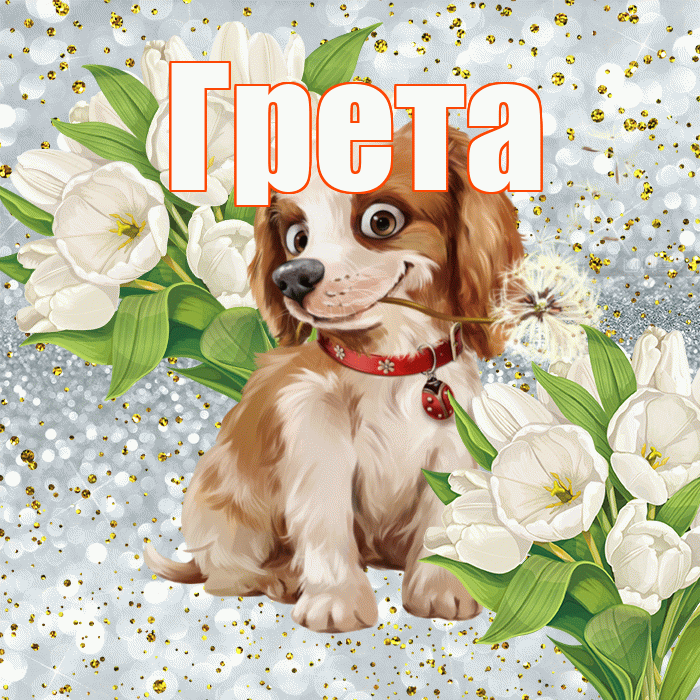Грета! Удачи Тебе! Красивая открытка Грете!