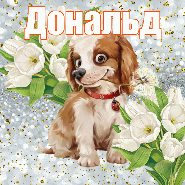 Дональд! Удачи Тебе! Красивая открытка Дональду!