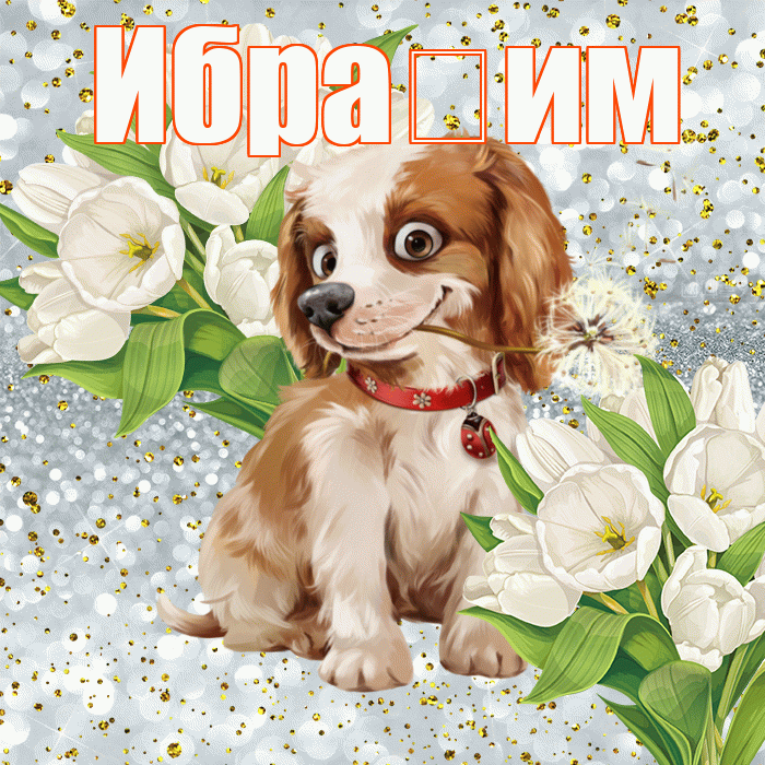 Ибра им! Удачи Тебе! Красивая открытка !