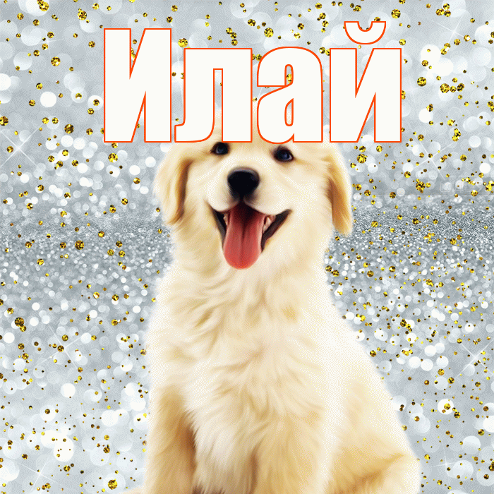 Илай! Удачи Тебе! Красивая открытка Илаю!
