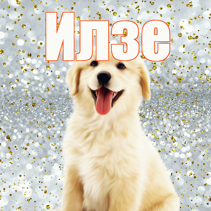 Илзе! Удачи Тебе! Красивая открытка Илзе!
