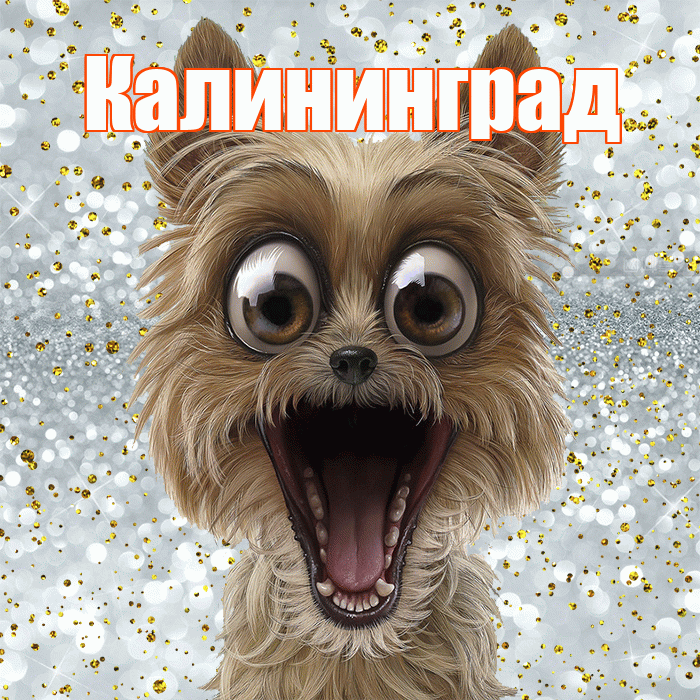 Калининград! Удачи Тебе! Красивая открытка Калининграду!