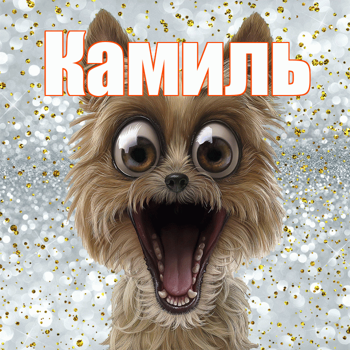 Камиль! Удачи Тебе! Красивая открытка Камилю!