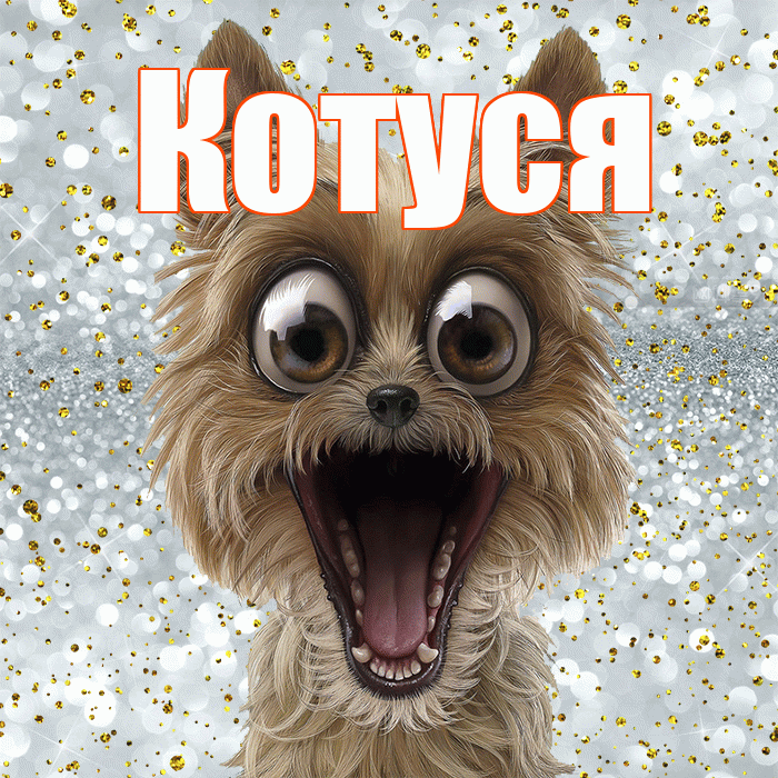 Котуся! Удачи Тебе! Красивая открытка Котусе!