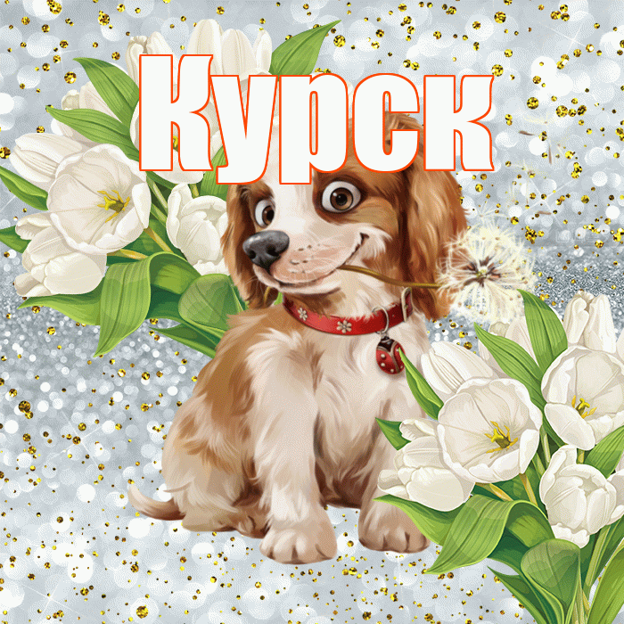 Курск! Удачи Тебе! Красивая открытка Курску!