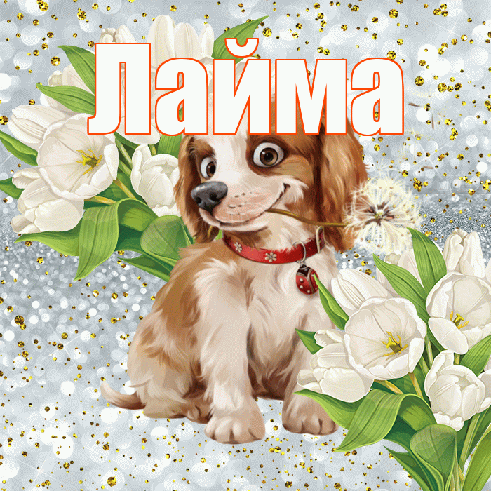 Лайма! Удачи Тебе! Красивая открытка Лайме!