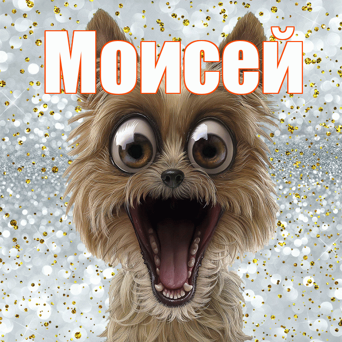 Моисей! Удачи Тебе! Красивая открытка Моисею!